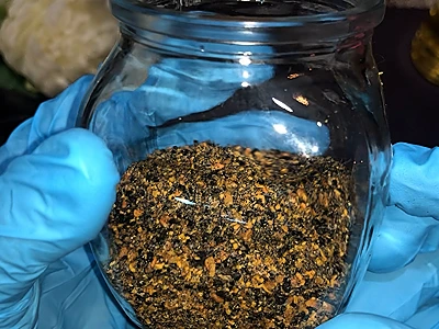 Pour the partially-ground seeds in the jar