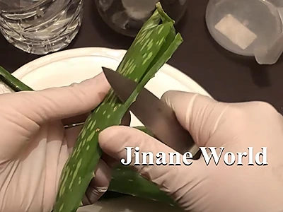 DIY Aloe Vera Extract. Cut off the sharp edges along the sides