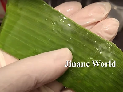 DIY Aloe Vera Extract. This is the gel that we want to collect