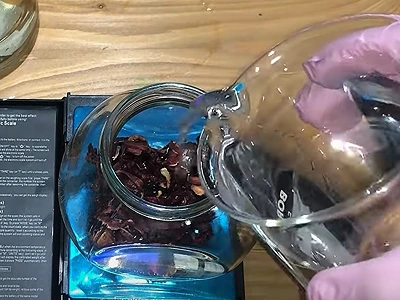 DIY Hibiscus Extract with Glycerine. Add lukewarm distilled water