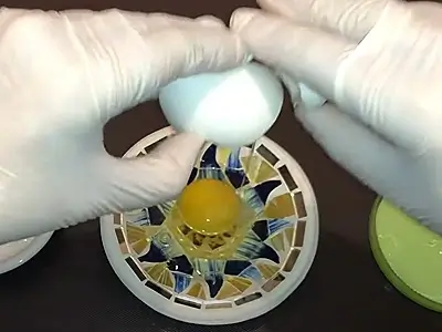 DIY Face Mask for Wrinkles. Break an egg into a small plate