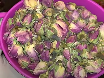 DIY Rose Scented Oil Perfume. Dried rosebuds