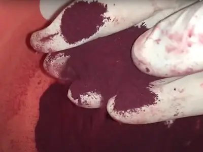 How to Make Dried Beetroot Powder. After grinding into fine powder