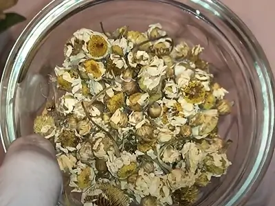 DIY Chamomile Cream for Sensitive Skin. Dried chamomile flowers